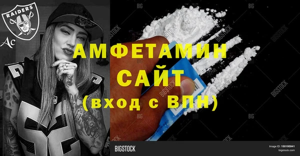 индика Вязьма